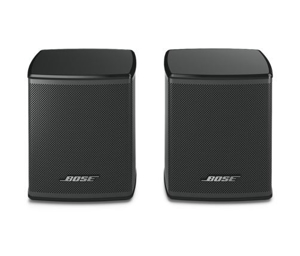 Bose Virtually Invisible 300