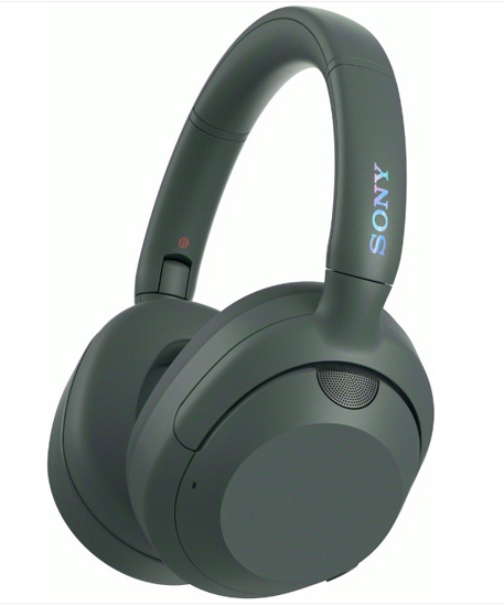 SONY WHULT900NH (Forest Gray)