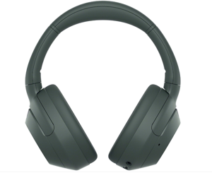 SONY WHULT900NH (Forest Gray)