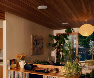 Sonos In-Ceiling by Sonance (8")	